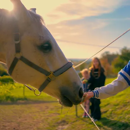 Panorama Haz Lägenhet *