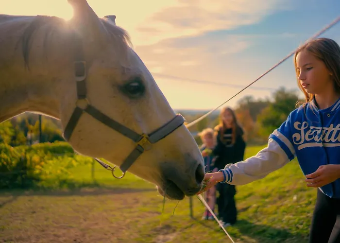 Panorama Haz Apartament *